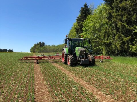 Fendt 313 Prof plus