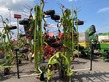 CLAAS Volto 1100
