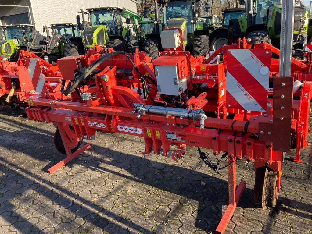 Maschio Intelligente 1