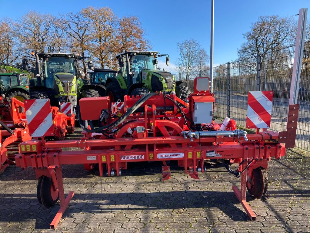 Maschio Intelligente 2