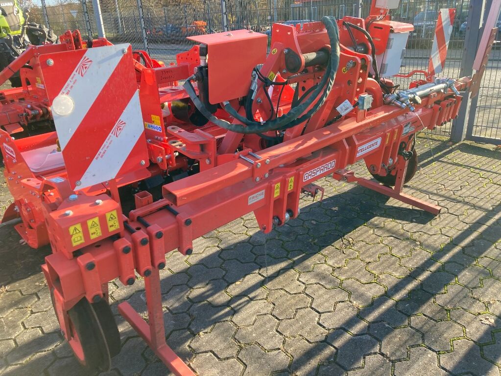 Maschio Intelligente 3