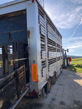 Viehanhänger 3 Stock 2