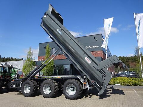 Pronar Hakenlift  T 386, 34 to. zGG, mit Schub- und Kni