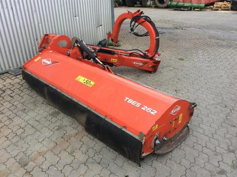 Kuhn TBES 262