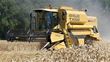 New Holland TX 62 x 4 Hydro