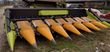 Agro Tiger Aktion-Maisvorsatz 4- 5-6-8 Reihen