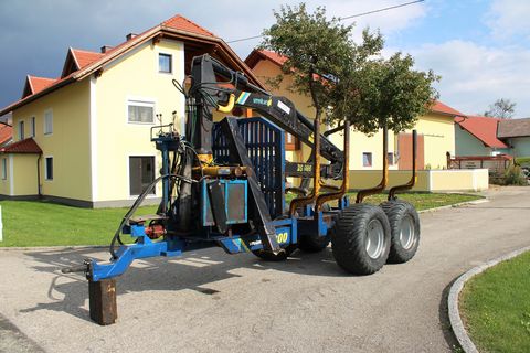 Vreten Rückewagen 1200 mit 680 SE Forstkran