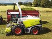 CLAAS Jaguar 970