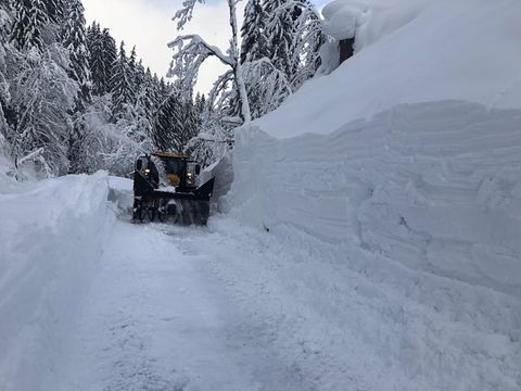 Sonstige DALEN 2118 Schneefräse