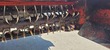 4712-749207fc35e6acd183f65e5f24f9b471-5705199