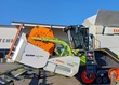 Zürn RapsProfiI 2 Vorsatzschneidwerk für Claas CERIO 
