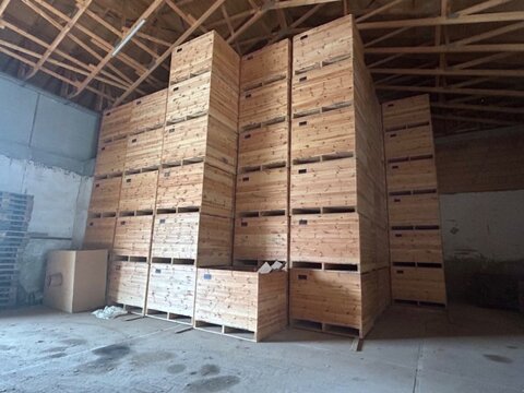 Sonstige Holzkisten