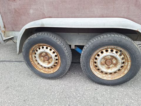 4742-32985a5a271ba7a682829200a49cc130-5646814