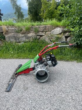 Rapid SWISS
