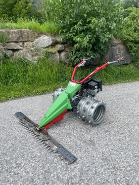 Rapid SWISS