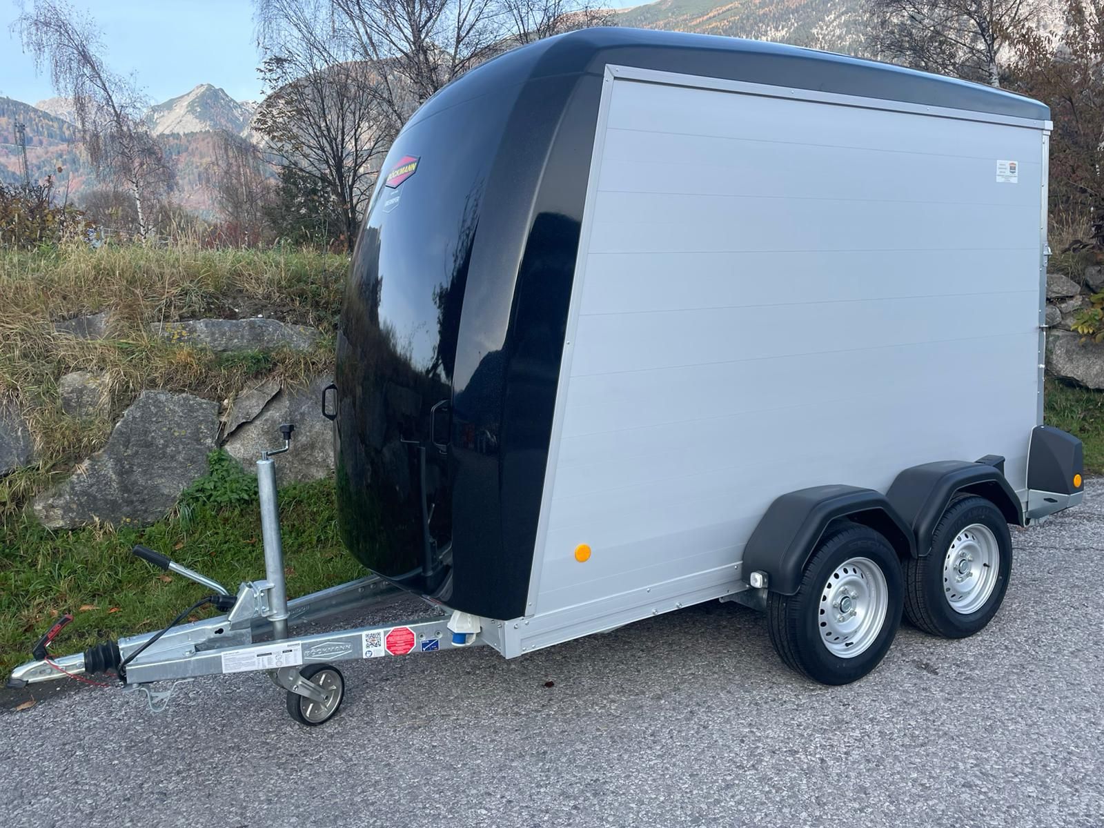 Böckmann Kofferanhänger KT-PB-AL 3015 2700kg 3