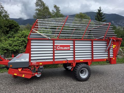 Gruber ProAlp 300H proCarve II