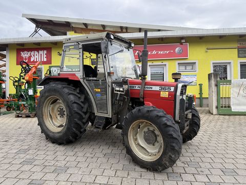 Massey Ferguson 362-4 (auch 70 PS)