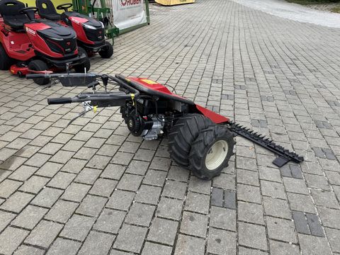 4743-a782a8014f22871b47829d37d3d98b35-6047467