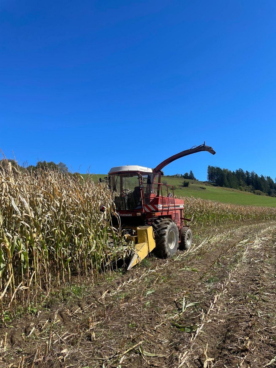 Hesston Fiatagri Hesston Braud 2