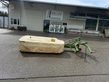Krone AM 203 S