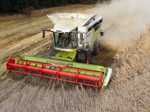 <strong>CLAAS Trion 730</strong><br />