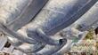 Michelin 710/70R42