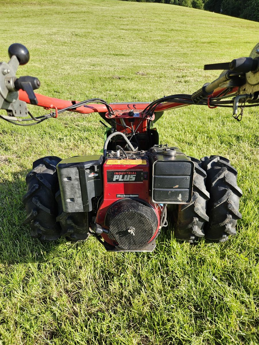 Rapid Euro 3 Hydrostatenmäher 2