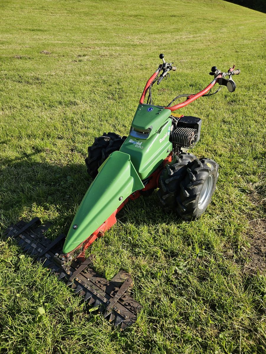 Rapid Euro 3 Hydrostatenmäher 3