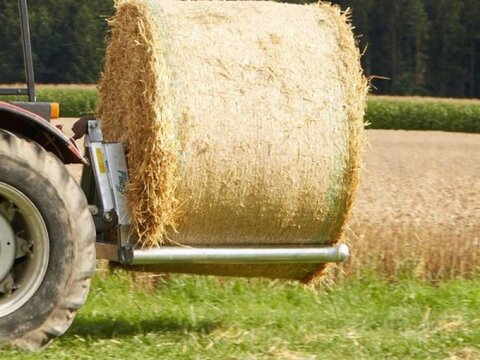 Fliegl BTGFLM000004V BALLENTRANSPORT 2