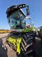 Claas JAGUAR 980 T4/E5