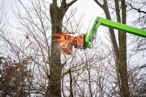 Westtech Greifersäge für Teleskoplader