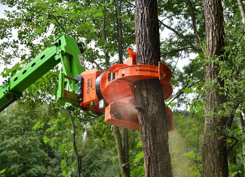 Westtech Woodcracker CS580 smart