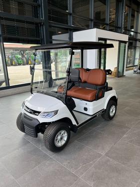 Sonstige ES-GOLF 2 Sitzer, eFFort, E-Supplier