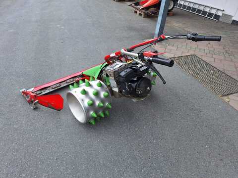 Rapid Rex