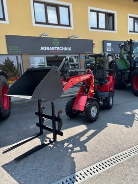 Schäffer 2024 S