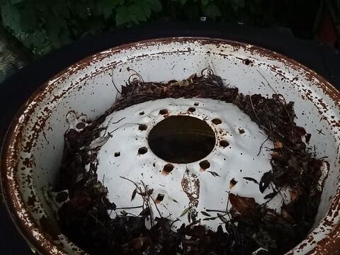 Felge 11 x 36- 8 Lochfelge- war auf IH Traktor 3