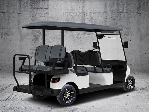 Sonstige Shuttle 4+2 3.0 "DeLuxe" Transportcar der Sonder