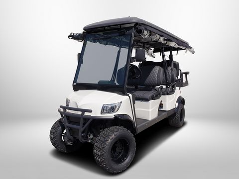 Sonstige ICOCAR Ranger 4+2 LITHIUM
