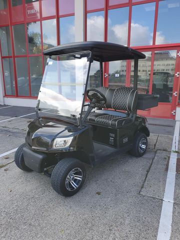 Sonstige ICOCAR Birdie 3.0 Cargo