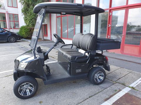 Sonstige ICOCAR Birdie 3.0 Cargo