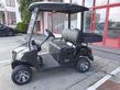 Sonstige ICOCAR Birdie 3.0 Cargo