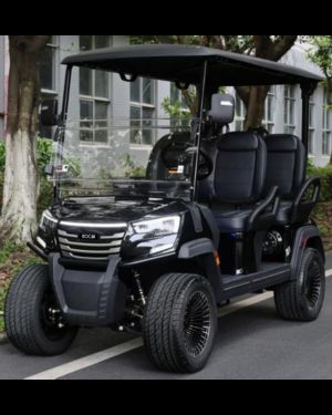 Sonstige ICOCAR City 4 Lithium