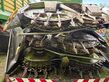 Claas Orbis 750