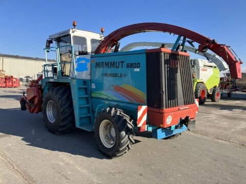Mengele GEBR. MENGELE 6800 MAMMUT 3