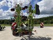 CLAAS VOLTO 1100 mit Randstreutuch