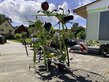 CLAAS VOLTO 80 RANDSTREUTUCH