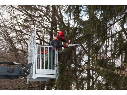 Fliegl ABHFLI000010V ARBEITSBÜHNE 2