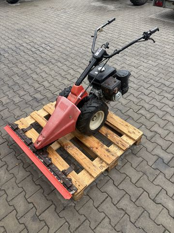 Vogel&Noot Plus 3
