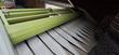 Claas SUNSPEED 8.70